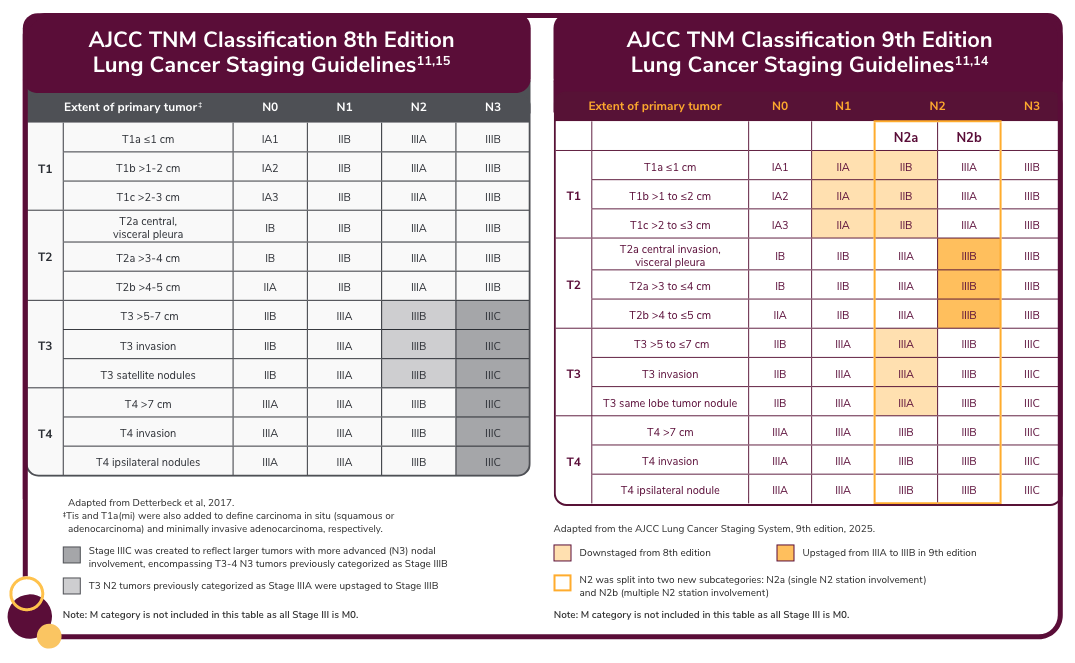 Lung Cancer Ct Staging